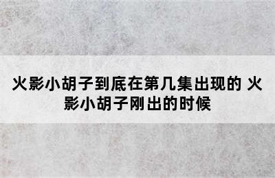 火影小胡子到底在第几集出现的 火影小胡子刚出的时候